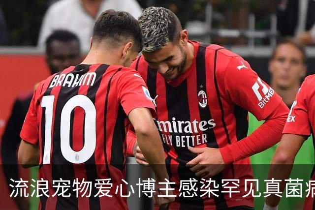 流浪宠物爱心博主感染罕见真菌病逝，年仅27岁，丈夫：妻子在ICU抢救了22天，她随时带着猫狗粮，走到哪里看到流浪猫狗都会喂