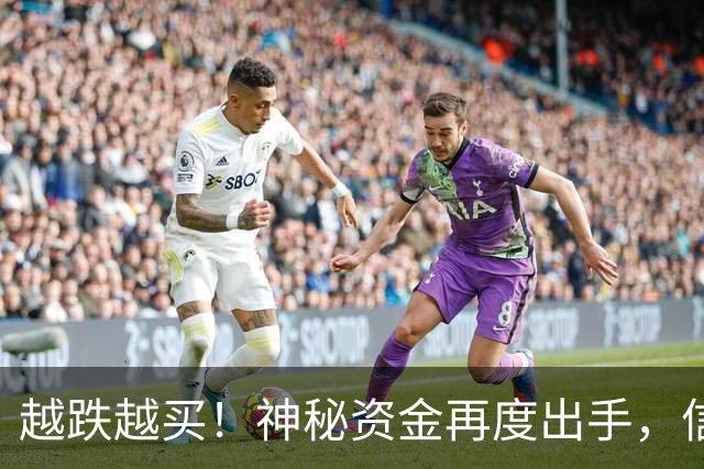 越跌越买！神秘资金再度出手，信号已经很明显了！