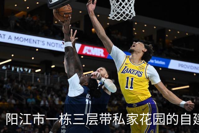 阳江市一栋三层带私家花园的自建房拍卖，才53万就成交，捡漏了